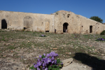 Les ruines d'un monastère byzantin dans la réserve de Vendicari. Au premier plan des fleurs de mandragore - PNG - 780.6 ko - 800×533 px