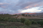 Libertinia au lever du soleil depuis l'oliveraie - PNG - 559.6 ko - 800×533 px